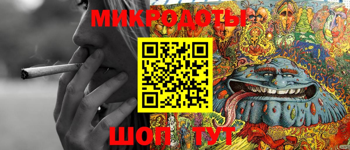 Псилоцибиновые грибы Cubensis Будённовск