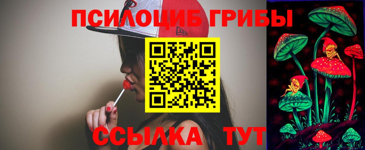 Галлюциногенные грибы мицелий  Будённовск 