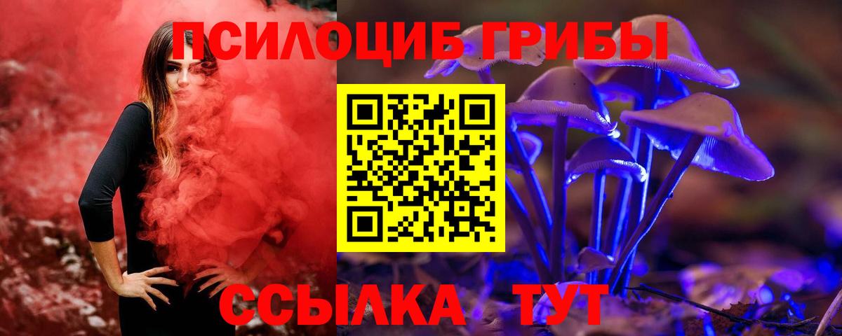 Галлюциногенные грибы Psilocybe Будённовск
